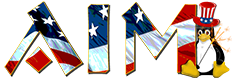 AIM IT Services